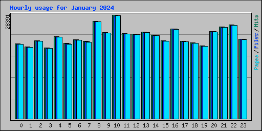 Hourly usage for January 2024