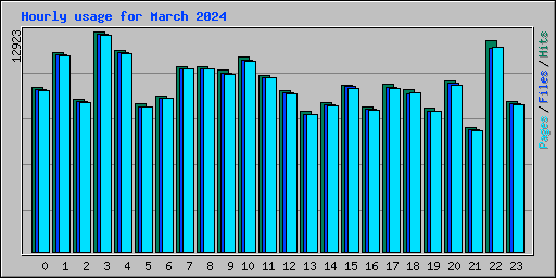 Hourly usage for March 2024