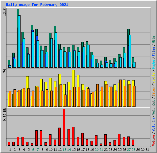 Daily usage for February 2021