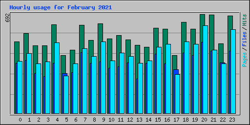 Hourly usage for February 2021