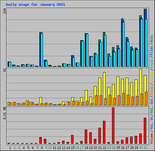 Daily usage for January 2021