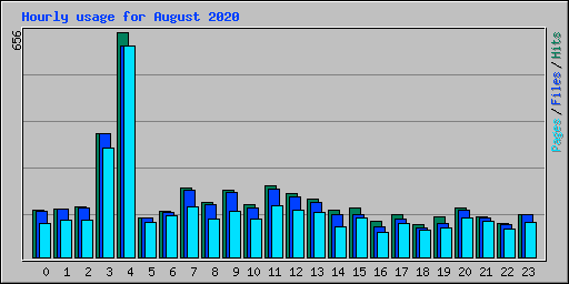 Hourly usage for August 2020