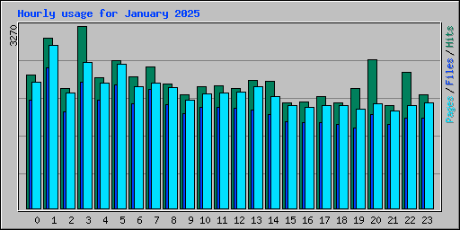 Hourly usage for January 2025